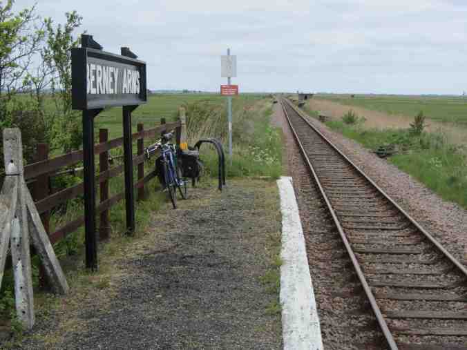 Berney Arms, Norfolk - looking frenetic