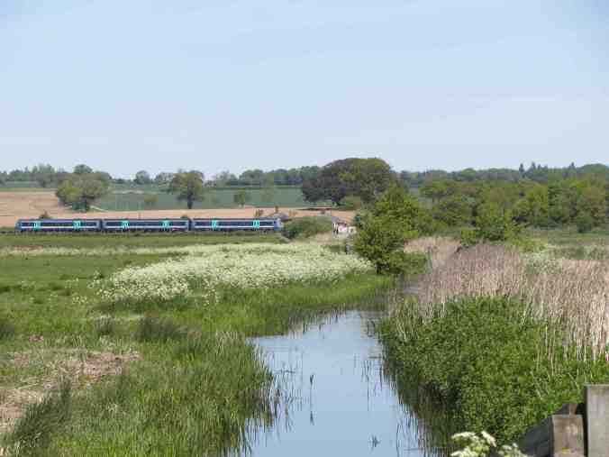 Buckenham, Norfolk - train speeds through Buckenham station, just visible through trees